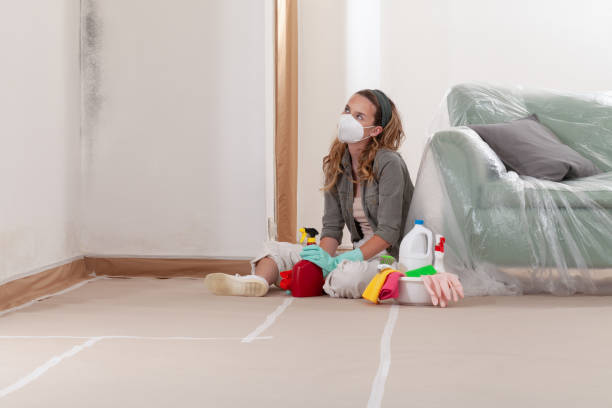 Reliable Mold Remediation contractor in Newtonville, MA by Car Mold Remediation